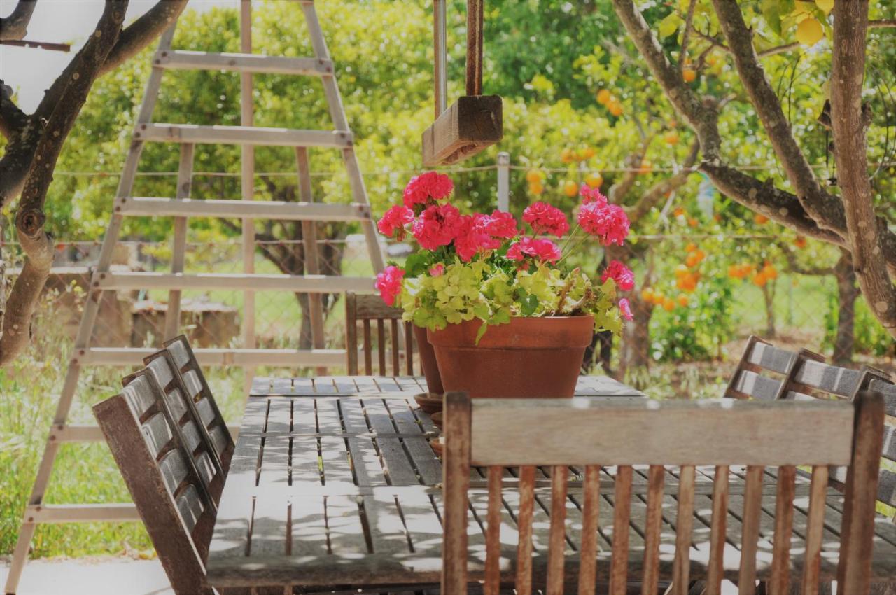 Ca'N Guiri, Eco Finca In Mallorca Campanet Ngoại thất bức ảnh