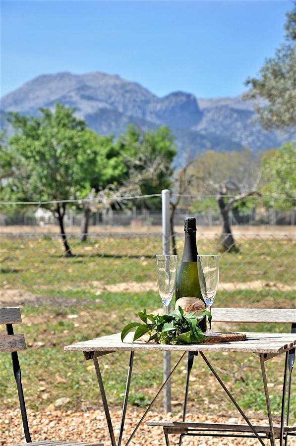Ca'N Guiri, Eco Finca In Mallorca Campanet Ngoại thất bức ảnh